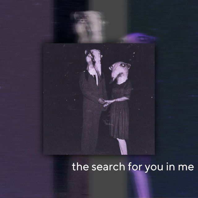 the search for you in me