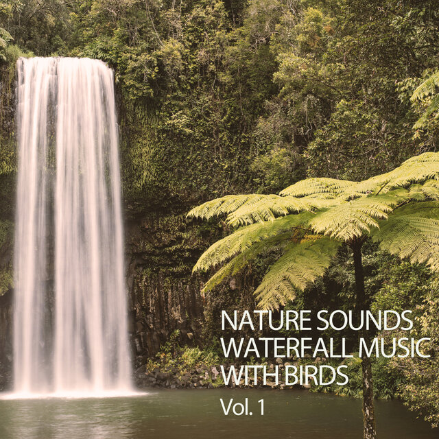 Nature Sounds: Waterfall Music With Birds Vol. 1 by Bird Sounds on TIDAL