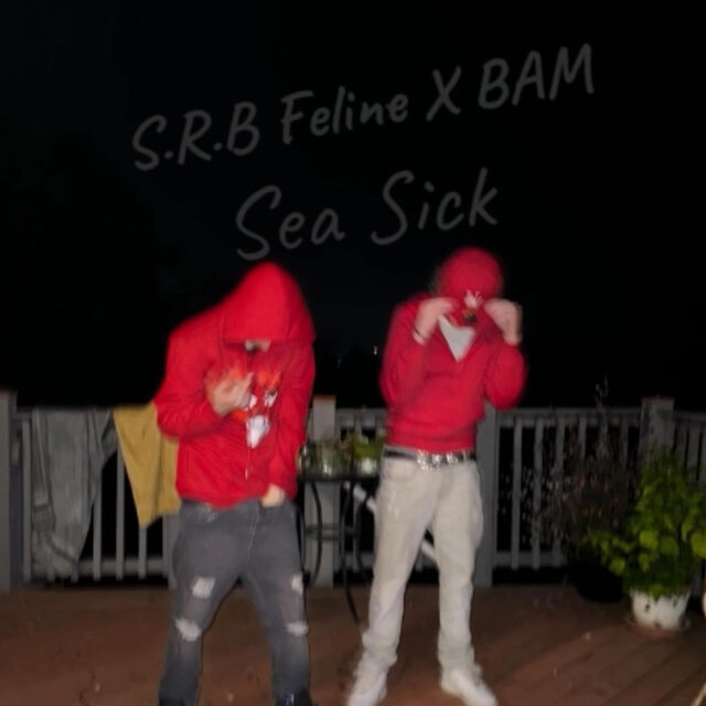 Sea Sick (feat. S.R.B Feline & BAM)
