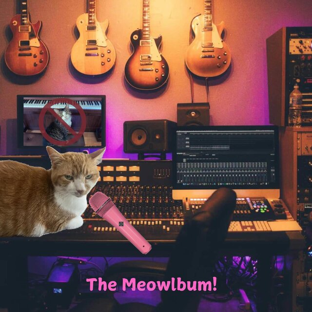 The Meowlbum.