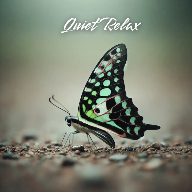Quiet Relax: Nostalgic Piano Instrumental Music