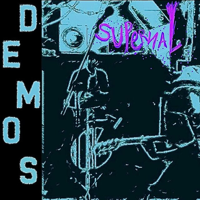 Demos From The Little Room