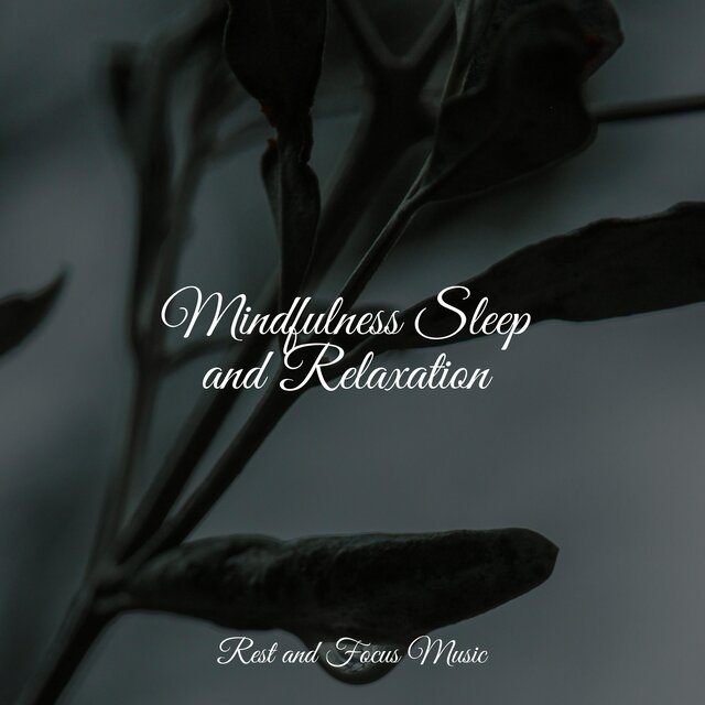 Mindfulness Sleep and Relaxation by Sounds of Nature White Noise Sound ...