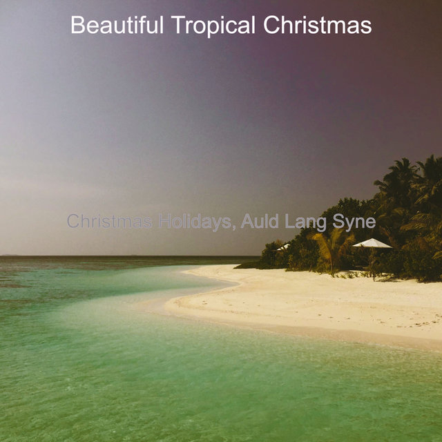 Christmas Holidays, Auld Lang Syne