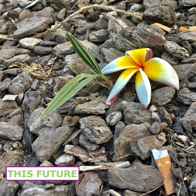 This Future