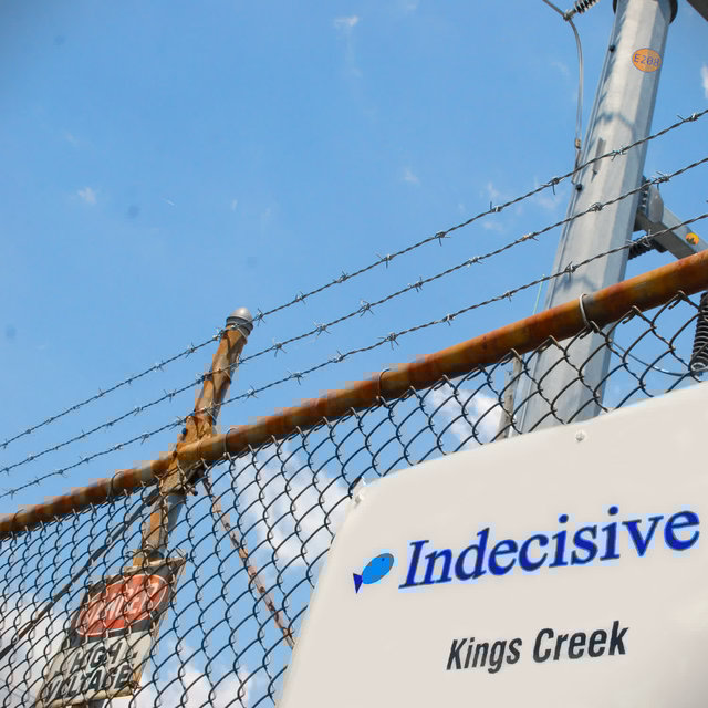 Over King's Creek