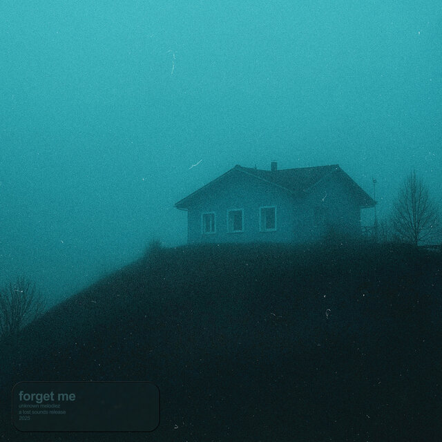 forget me (sped up)