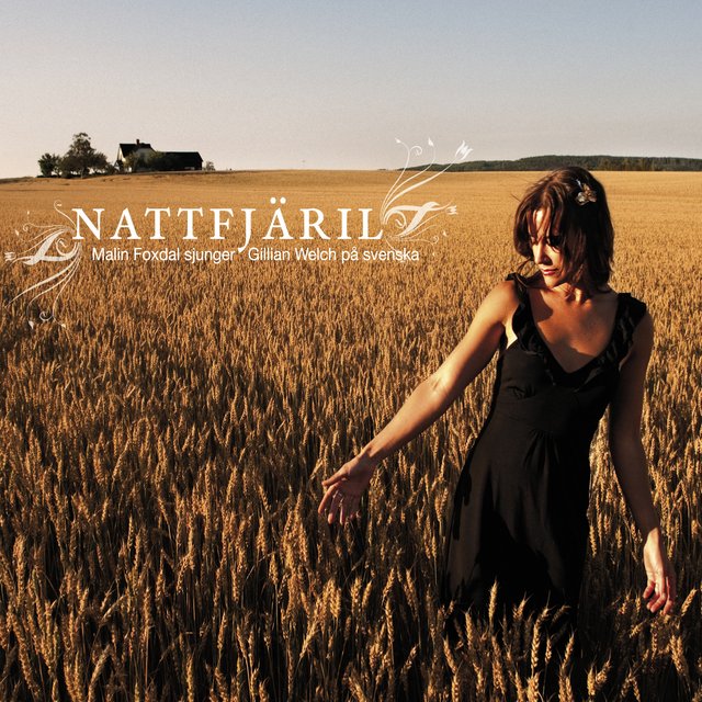 Nattfjäril