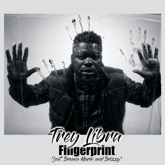 Fingerprint (feat. Breana Marin & Brizzy)