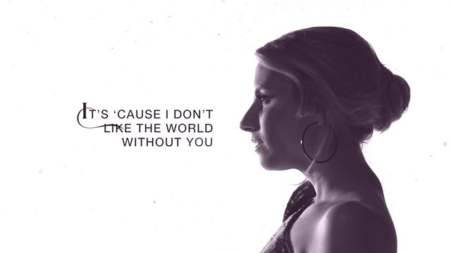 I Don't Like The World Without You (Lyric video)