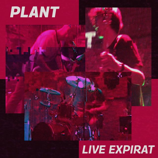 LIVE IN EXPIRAT