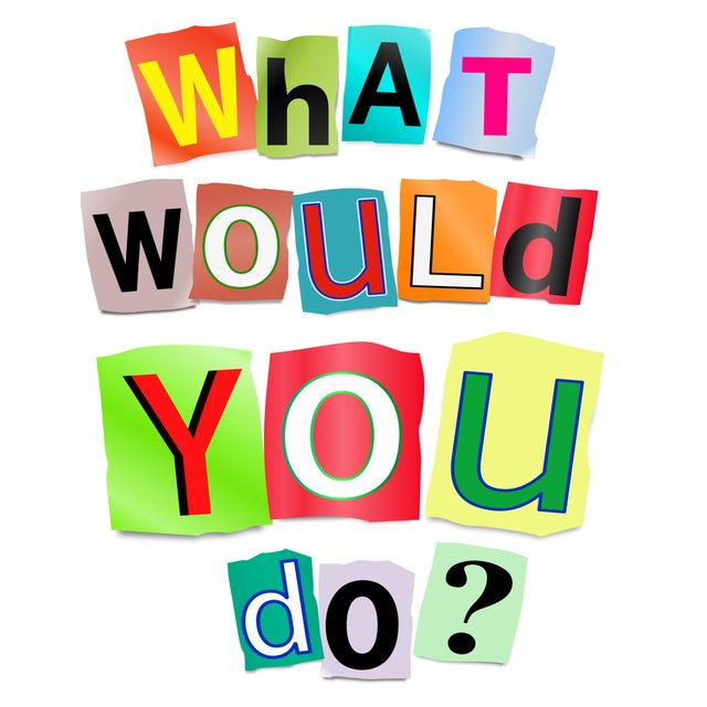 What Would You Do