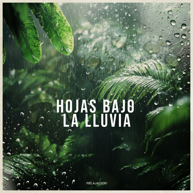 Hojas bajo la lluvia