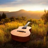The Flow of Tranquil Sound
