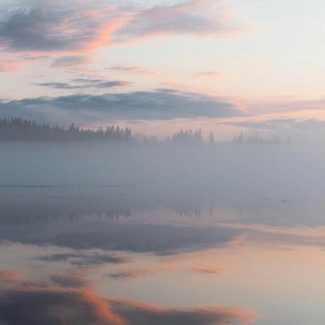 when the fog settles