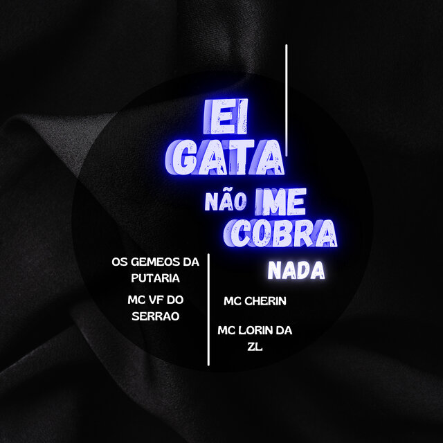 Ei Gata Não Me Cobra Nada