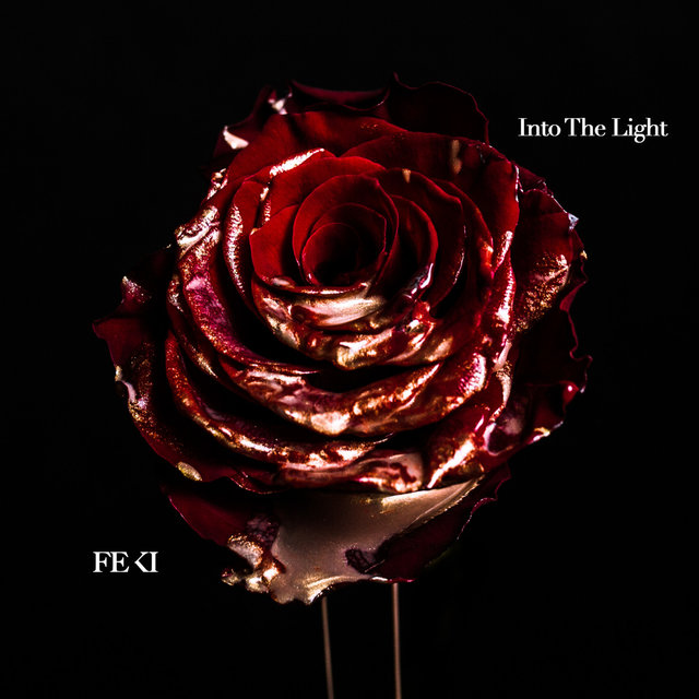 Into the Light by Feki on TIDAL