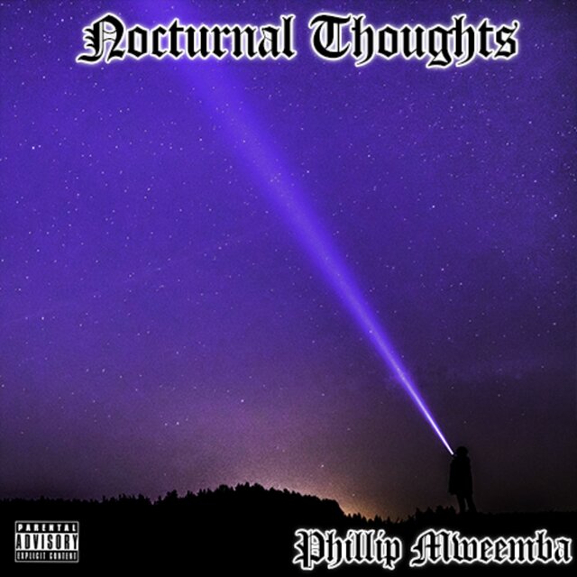 Nocturnal Thoughts