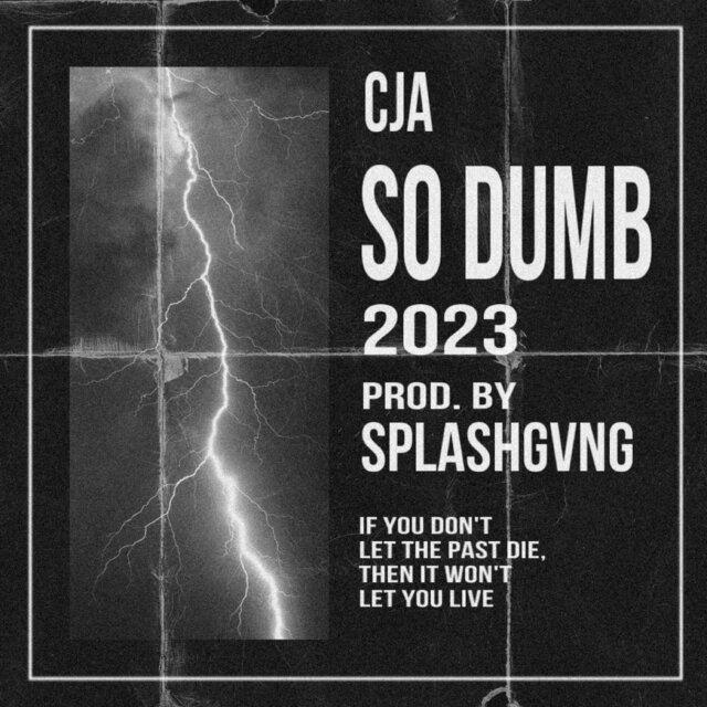 so dumb