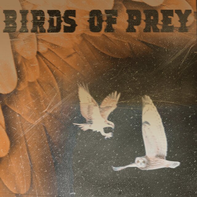 Birds of Prey (feat. BossMoney)