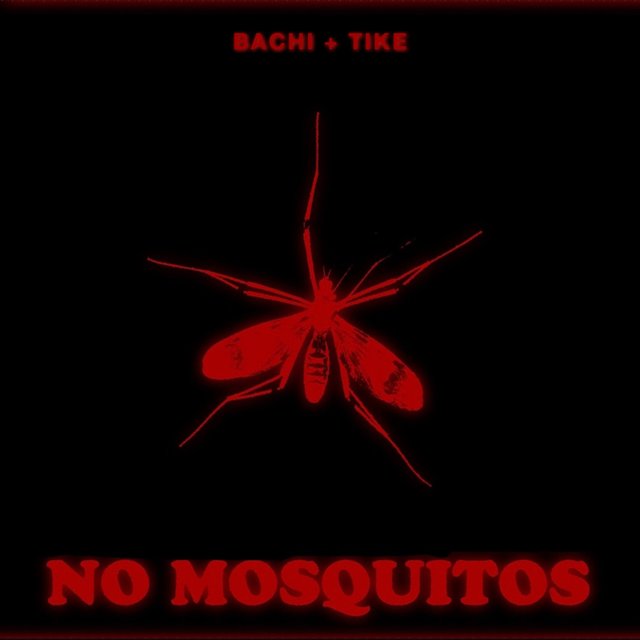 No Mosquitos