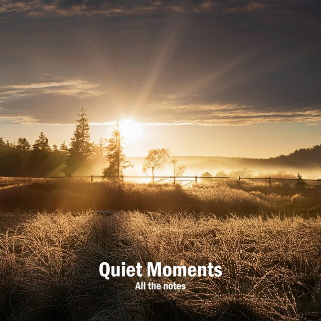 Quiet Moments