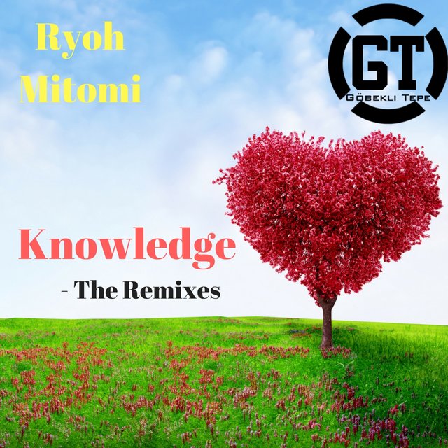 Knowledge(The Remixes)