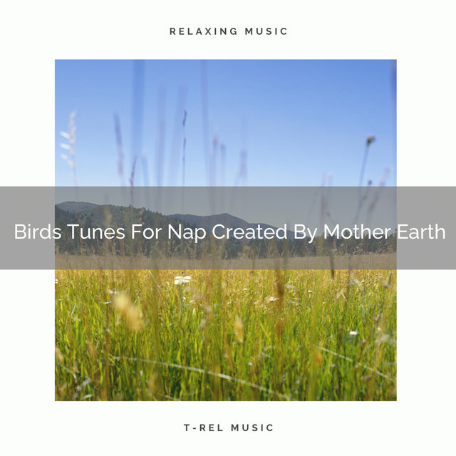 Birds Tunes For Nap Created By Mother Earth