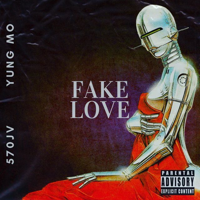 Fake Love (feat. 570jv)