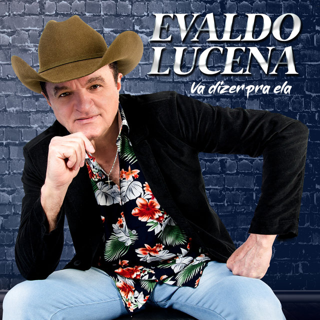 Vá Dizer pra Ela