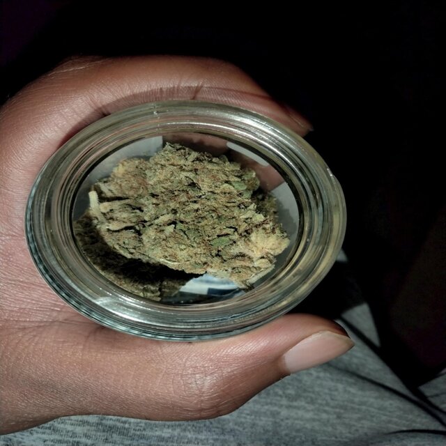 Kush And Music Vol.1