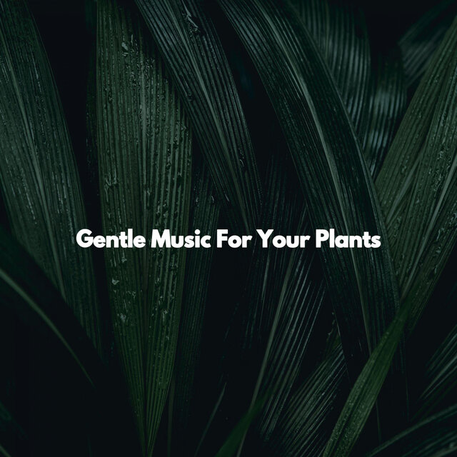 Gentle Music For Your Plants