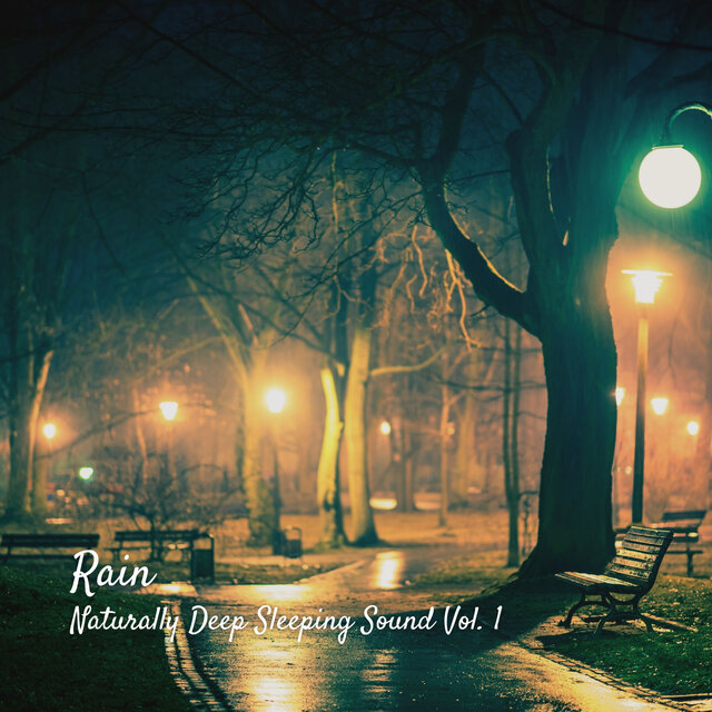 Rain: Naturally Deep Sleeping Sound Vol. 1