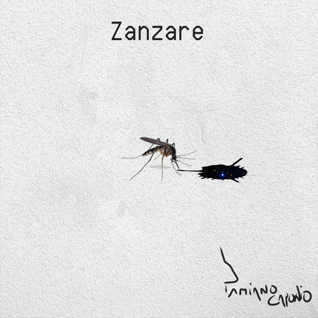 Zanzare