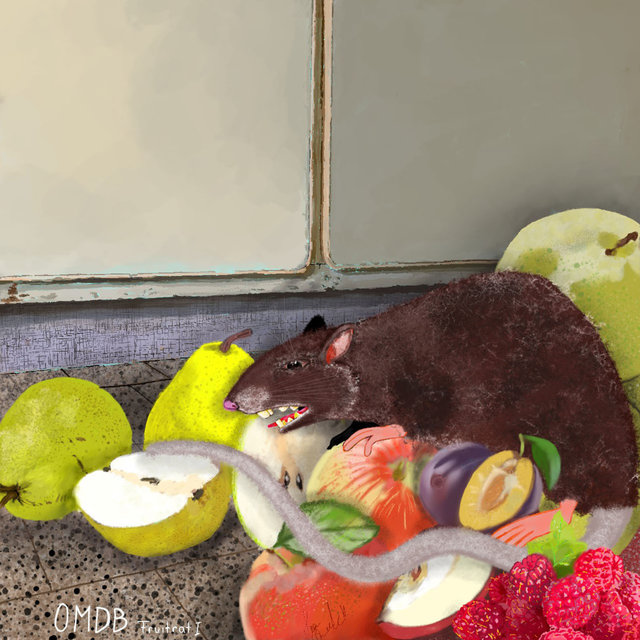 Cover art for album Fruitrat 1 by One Million Dollar Band