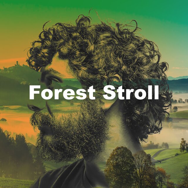 Forest Stroll