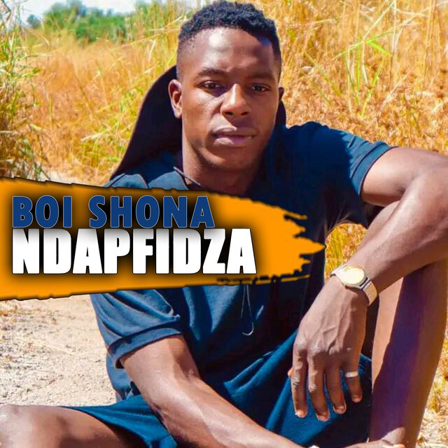Ndapfidza