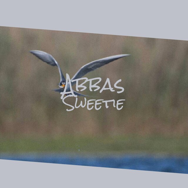 Abbas Sweetie