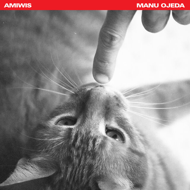 Amiwis