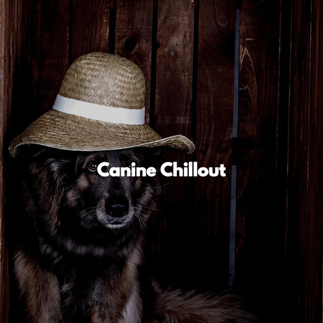 Canine Chillout
