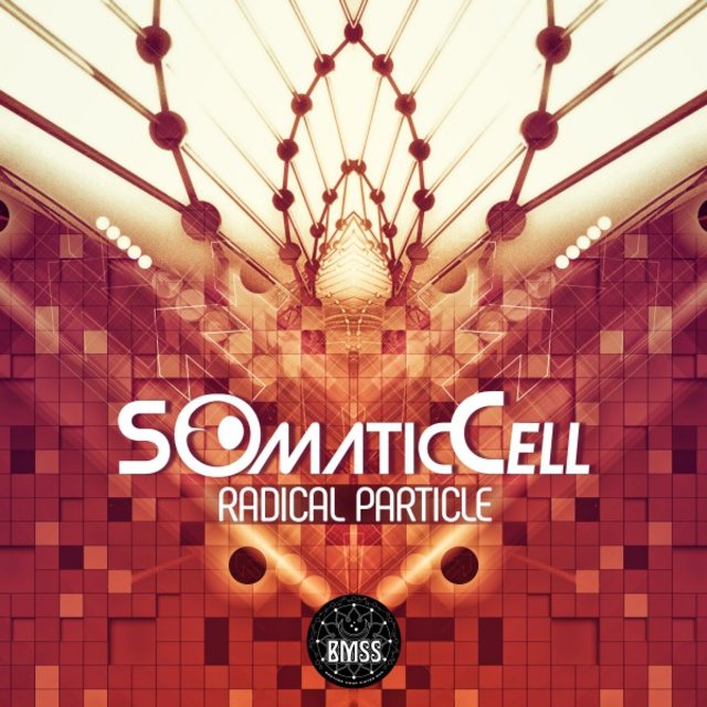 Radical Particle