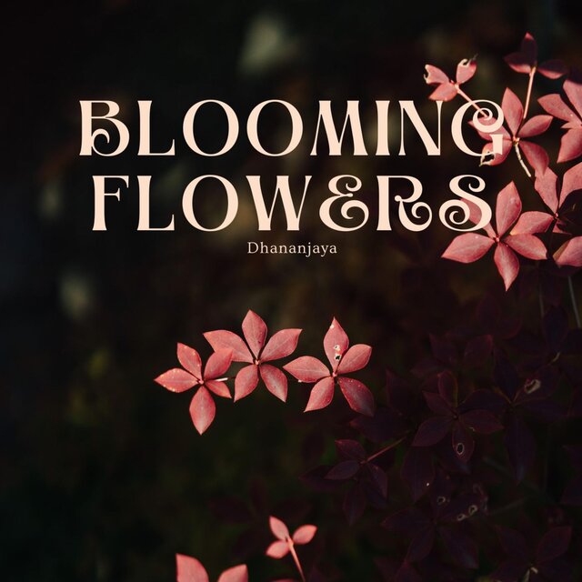 Blooming Flowers
