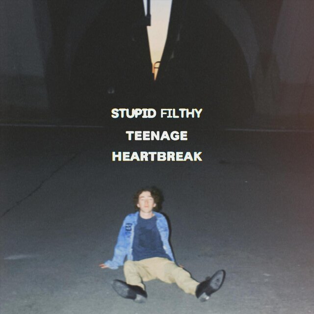 Stupid Filthy Teenage Heartbreak