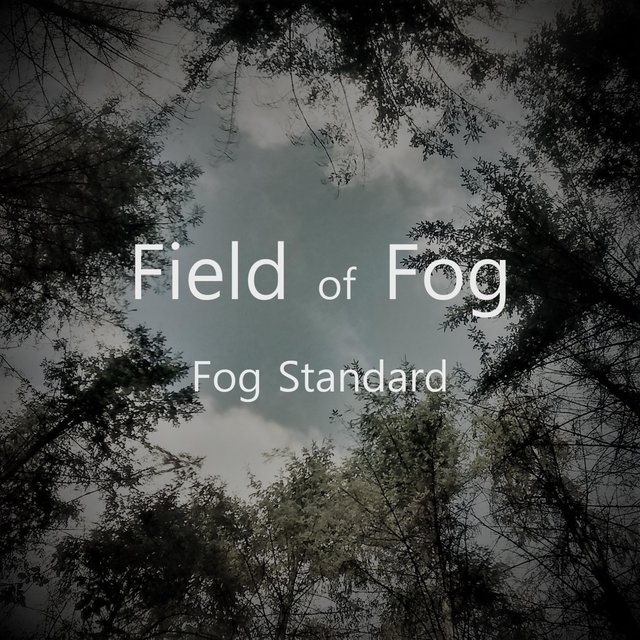 Fog Standard