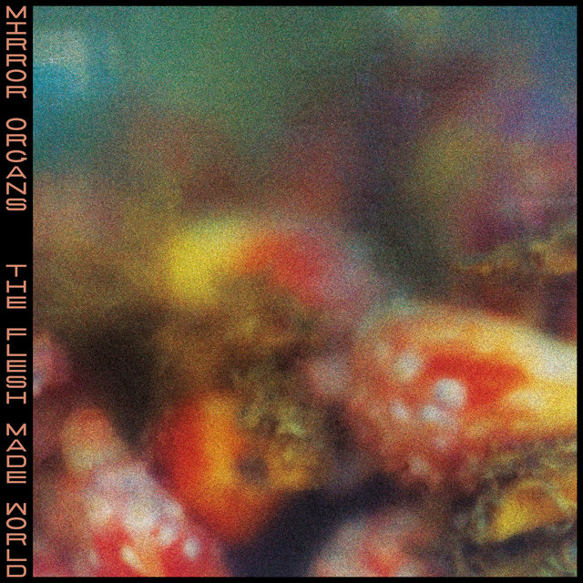 The Flesh Made World