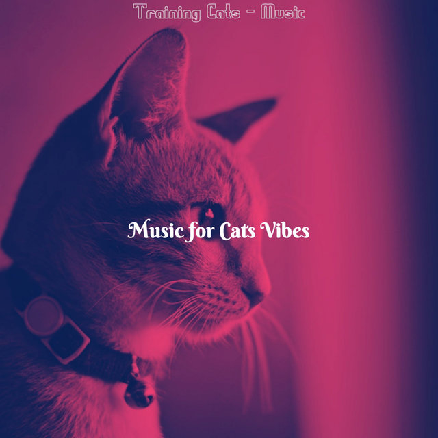 Training Cats - Music