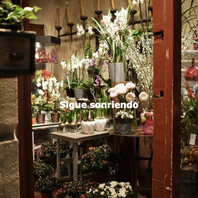 Sigue sonriendo
