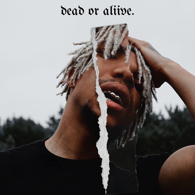 dead or aliive