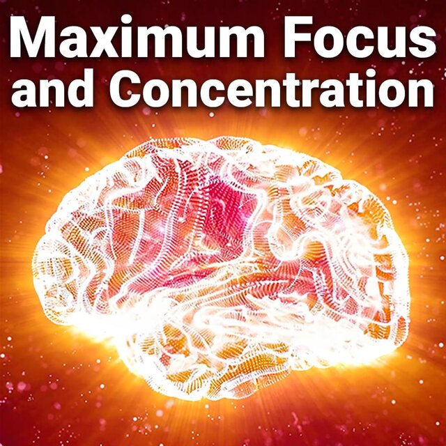 Maximun Focus and Concentration
