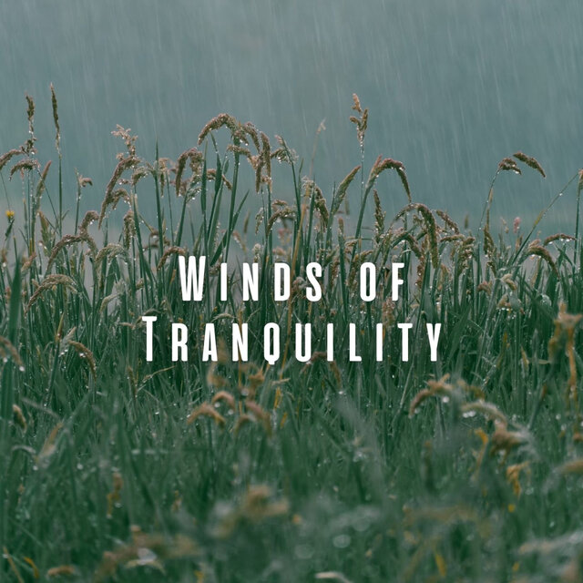 Winds of Tranquility: Relaxation with Birds and Light Rain